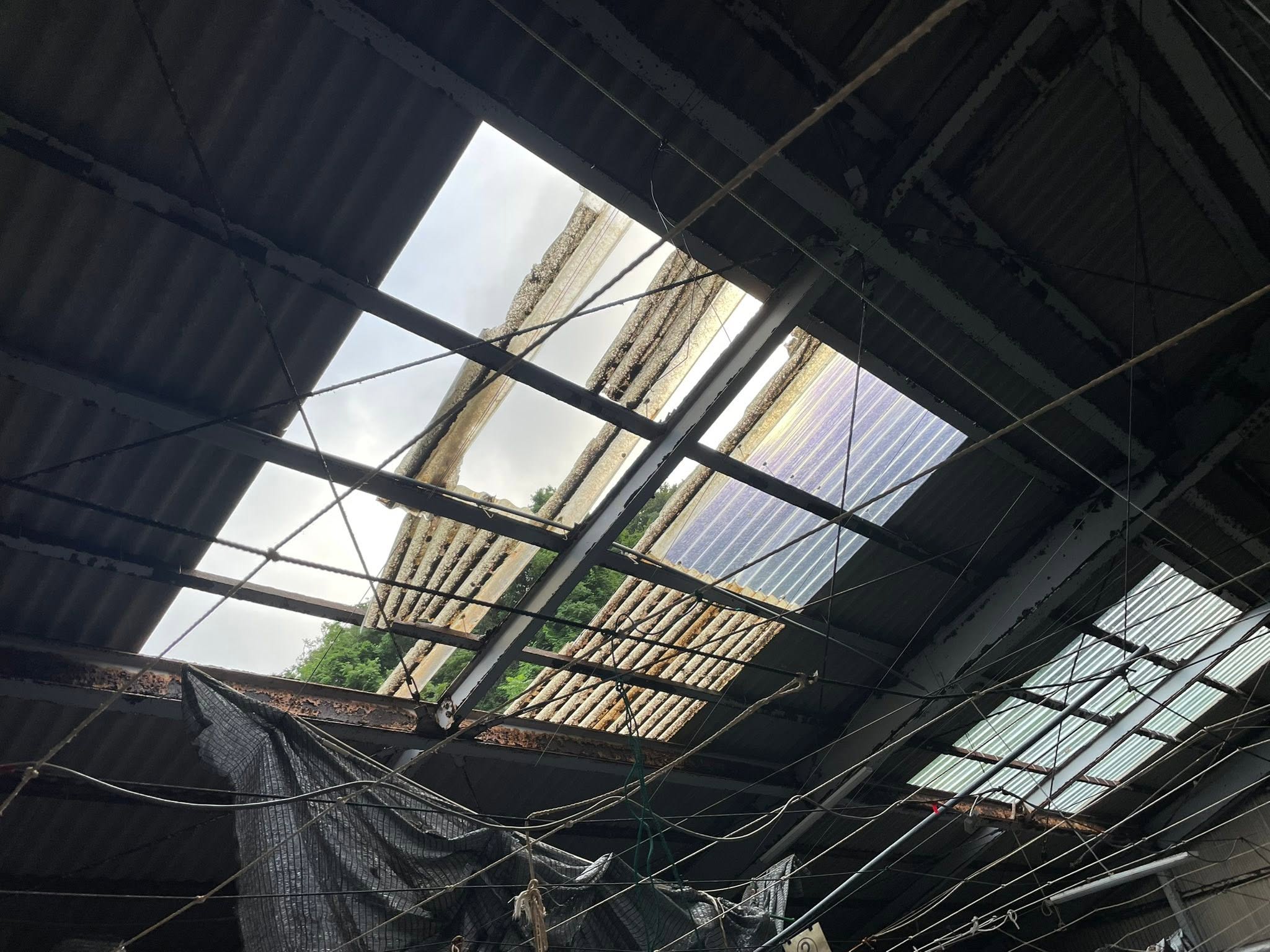 台風6号による屋根の被害2