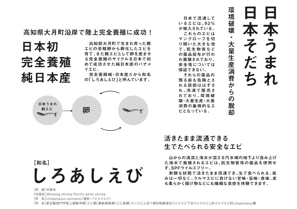しろあしえびについての解説図